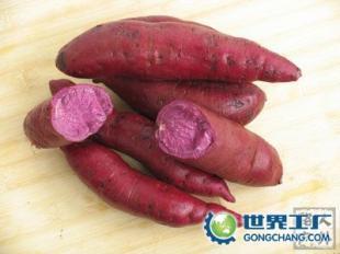 供應河北山東山西陜西安徽江蘇湖北浙江紫薯及種苗_食品、飲料_世界工廠網中國產品信息庫