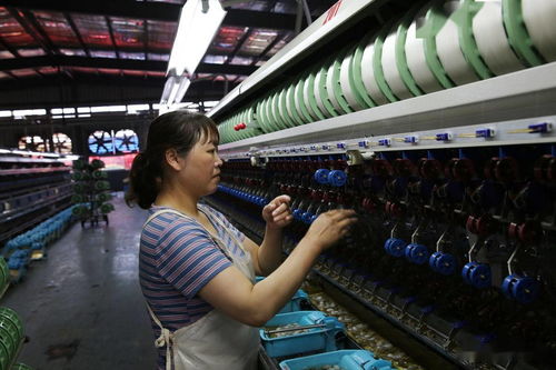 陜西石泉萬余農戶養蠶,繅絲廠收繭繅絲織綢制衣,一片繁忙景象