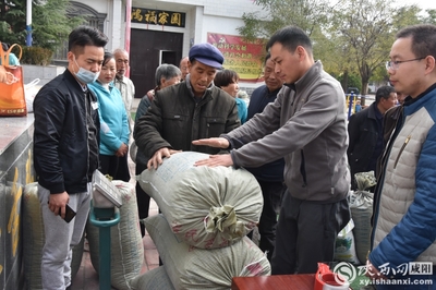 小連翹撬動大產(chǎn)業(yè) 中藥材種植助力脫貧攻堅——陜西中醫(yī)藥大學制藥廠赴旬邑收購連翹記